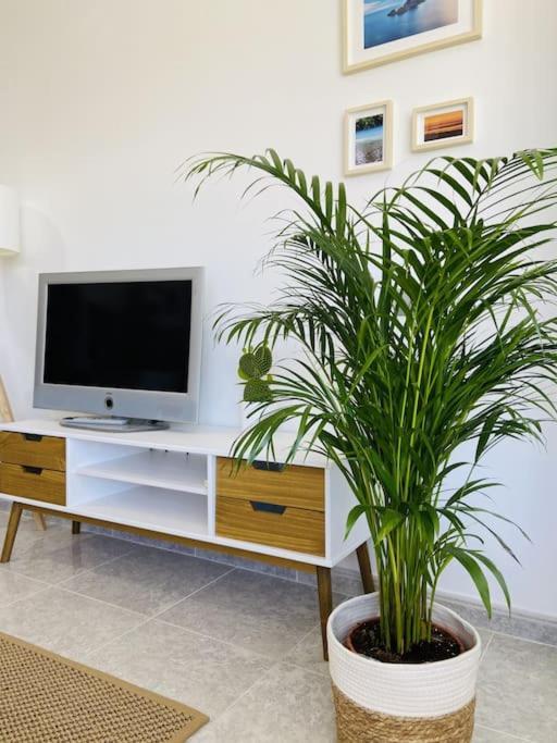 Alterhome Luminoso Estudio Con Piscina Y Maravillosas Vistas トレモリノス エクステリア 写真