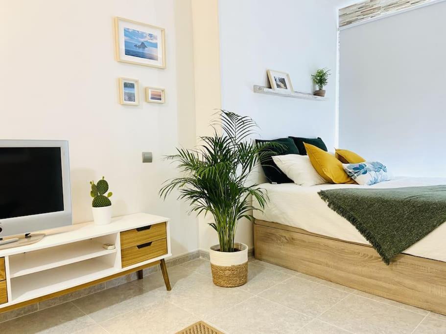 Alterhome Luminoso Estudio Con Piscina Y Maravillosas Vistas トレモリノス エクステリア 写真